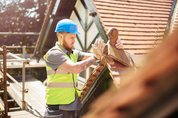 Best Roof Gutter Cleaning  in Monticello, LA